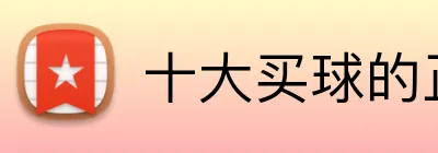十大买球的正规网站 品牌标志